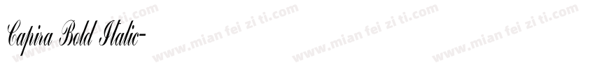 Capira Bold Italic字体转换
